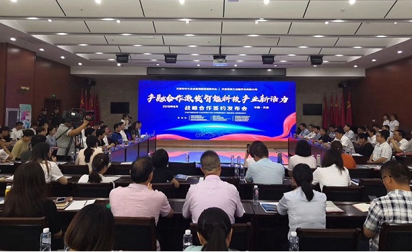 蜜桃传媒网站入口科技喜獲千萬級擔保授信